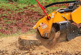 Lawn Grading and Leveling in Poquott, NY